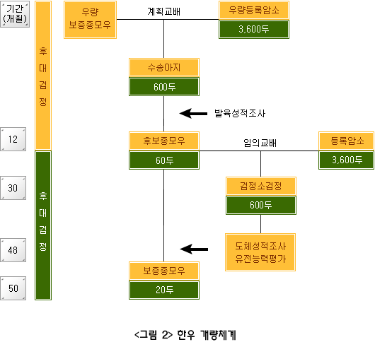 <그림2> 한우 개량체계