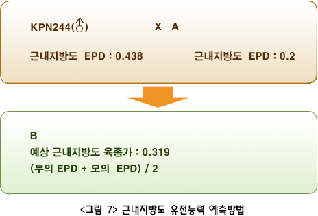 <그림7> 근대지방도 유전능력 예측방법