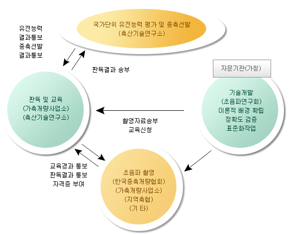 자료수집 및 분석 체계도
