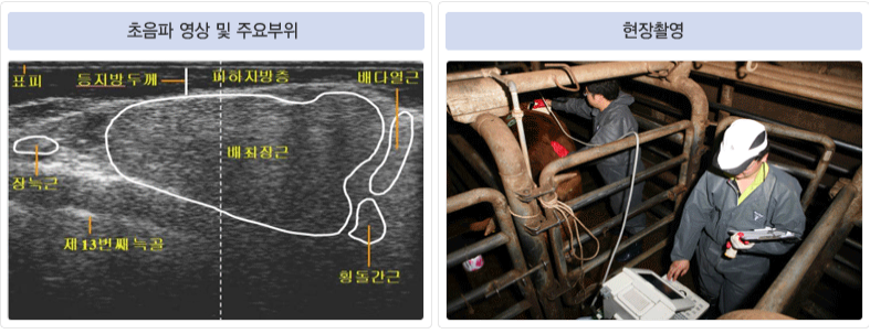 <그림 12> 초음파 측정 장면