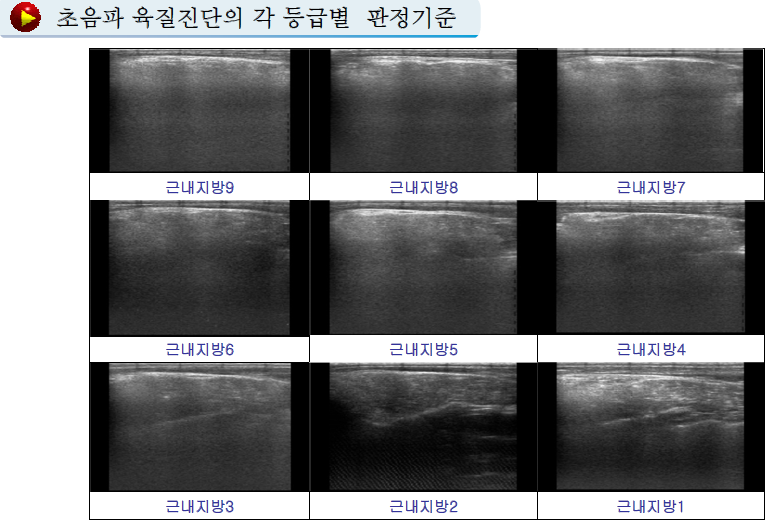 <그림 20> 한국의 BMS 기준
